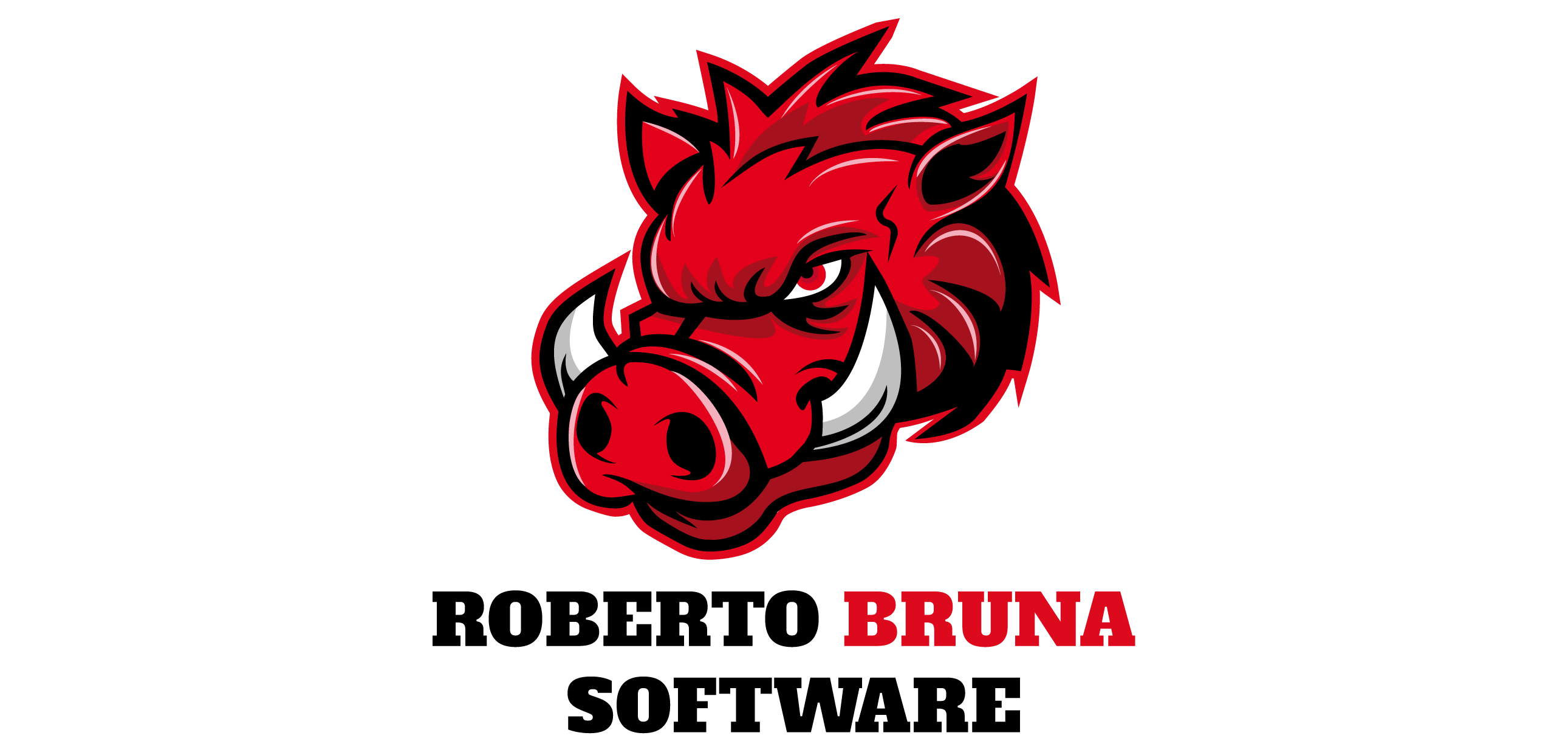 Logo Roberto Software